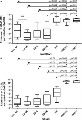 The Microenvironment in Barrett’s Esophagus Tissue Is Characterized by High FOXP3 and RALDH2 Levels